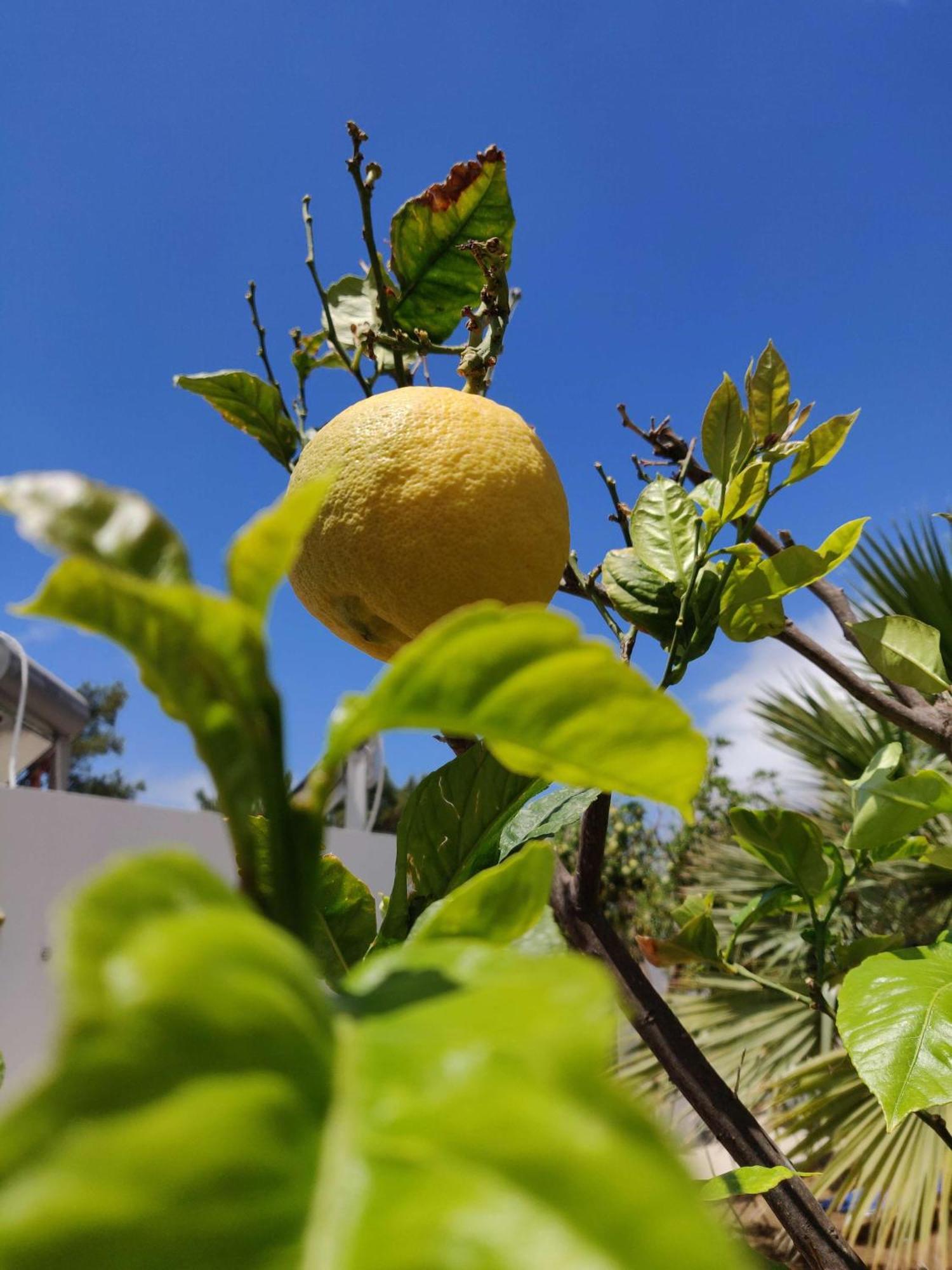 Aphrodite Studios Kalymnos Миртеа Экстерьер фото