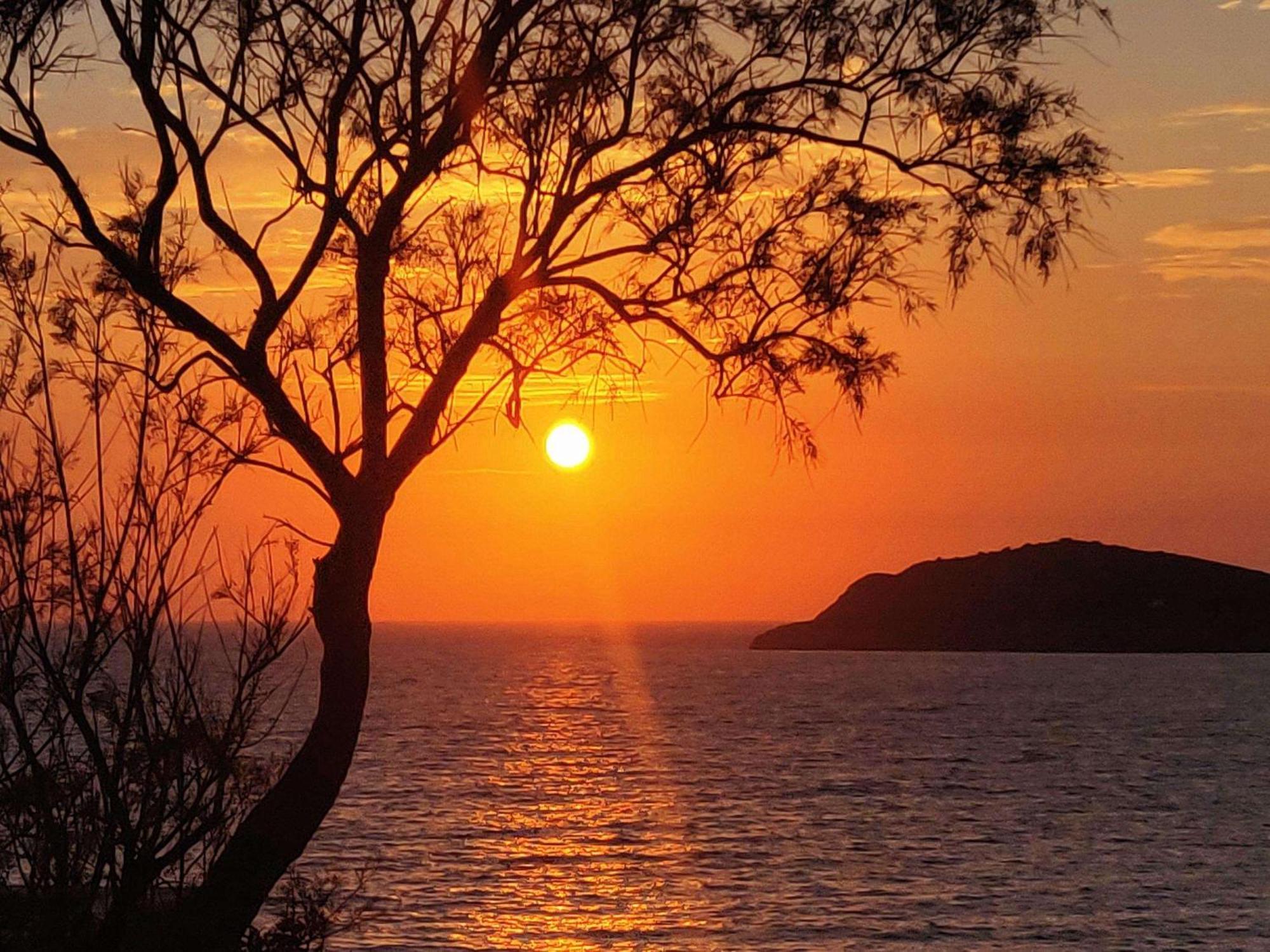 Aphrodite Studios Kalymnos Миртеа Экстерьер фото